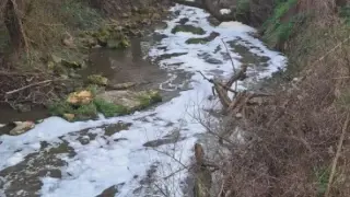 Трупове изплуваха в наша река