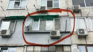 Изрод заплашва да залее кученце с киселина, живее във Варна