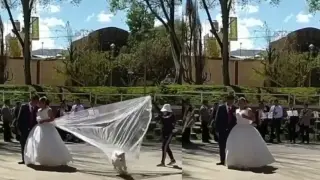 Куче разнообрази скучна сватба, нахлувайки по неочакван начин ВИДЕО