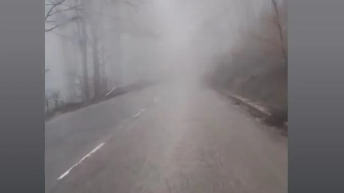Мъгла затисна Петрохан, камионите ще почакат 