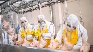 Важно предупреждение за всички българи, които искат да работят в Германия и Австрия