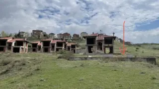 Брутално зверство смрази Сандански, помогнете! Плашещи СНИМКИ