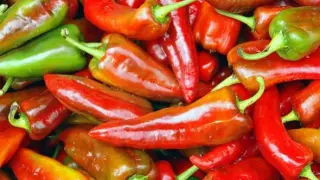 В малкия цех с "малките" хора: Реже по 500 кила чушки срещу 60 лева