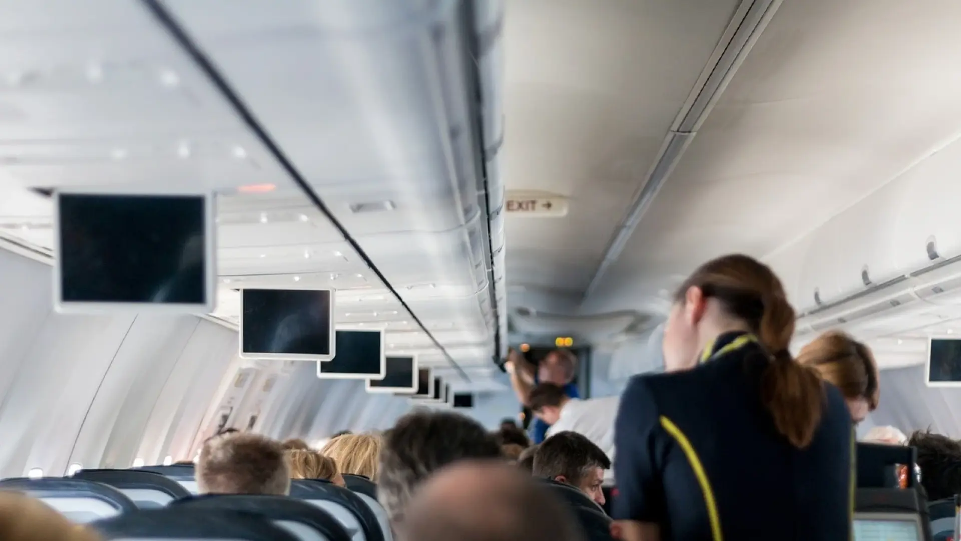 Красив контраст: Тъмнокожа стюардеса и русата и колежка плениха мрежата