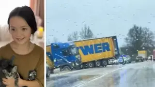 Съдът обяви решението си за шофьора, убил Сияна
