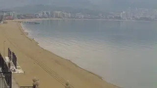 Такова нещо по родното Черноморие не се случва всеки ден СНИМКИ