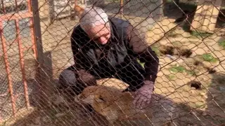 Цяла България се слиса от тази история с мъжка лисица и 5 сирачета в Стара Загора