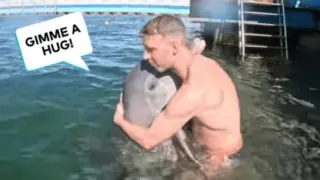 Дружелюбен делфин стана звезда в интернет, прегръщайки посетители ВИДЕО
