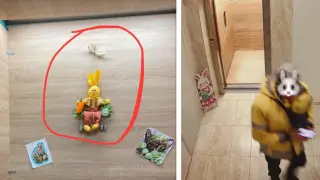 Грозна кражба в София СНИМКИ