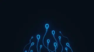 Иновативно! В Калифорния ще се състезават сперматозоиди, за да...