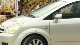 Духът на Родопите в чували, багажници, бусове