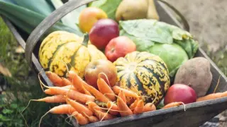 Кои са най-добрите храни за пречистване на кръвта?
