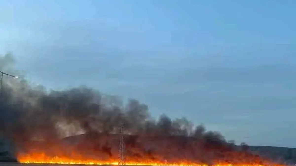 Брутален пожар между Сливница и Драгоман! ВИДЕО