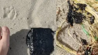 Какво става? Мазут на всяка крачка на плаж във Варна ВИДЕО