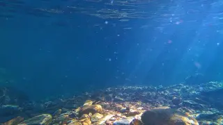 Ново проучване: Това се случва с океаните и моретата от 2000 г. насам