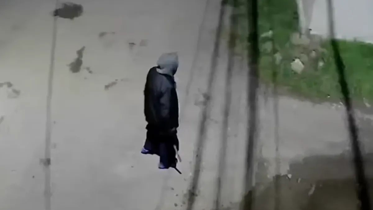 Наш град трепери от зловеща баба с брадва, бродеща нощем, местните мислят, че е... ВИДЕО