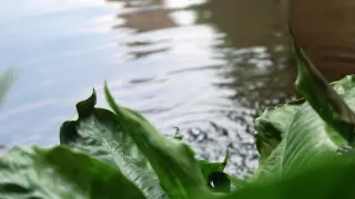 Знаково място в БГ град върна блясъка си