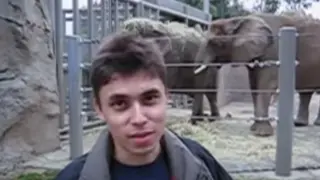 20 години по-късно: Вижте първото ВИДЕО в YouTube