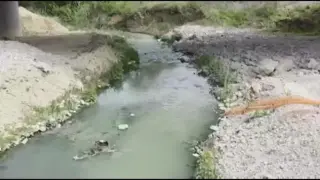 Цяла община в паника заради зловонна смрад и измряла риба СНИМКИ