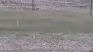 Мощна буря с градушка удари тази част на България, стихията се насочи към... ВИДЕО 