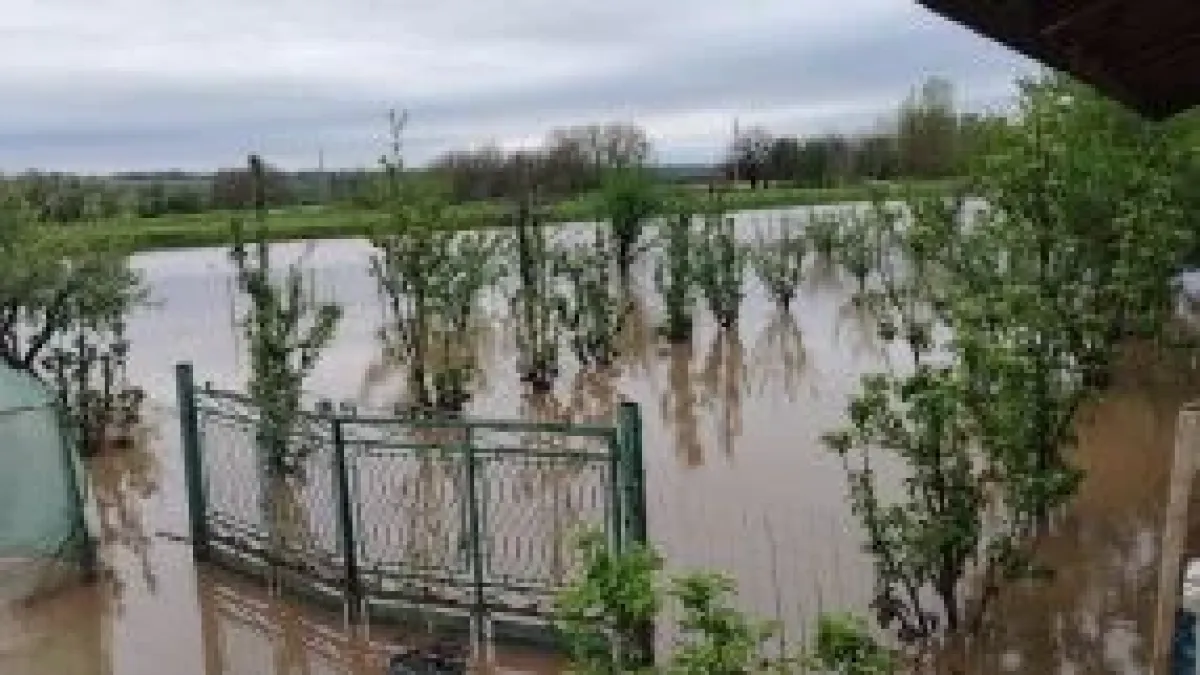 Под вода: Ето как се справят хората след поройните дъждове в Монтанско СНИМКИ