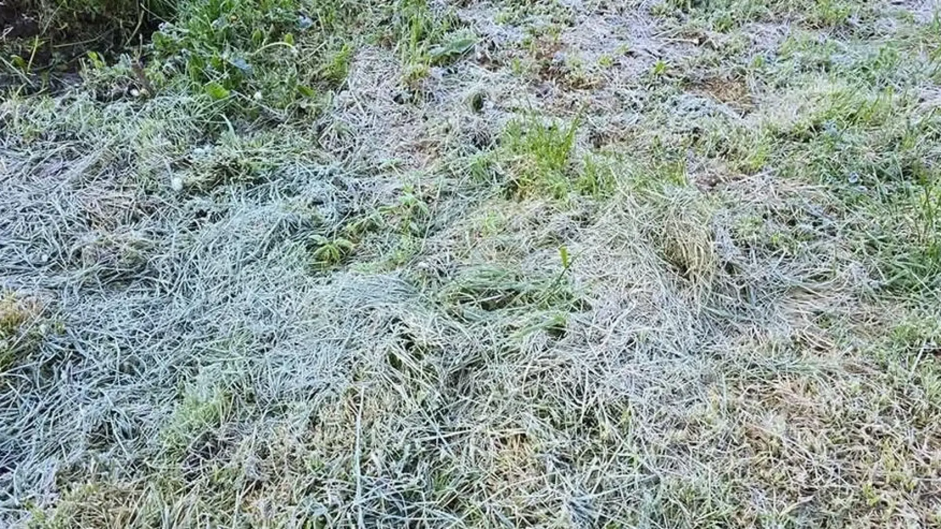 Земеделците са  ужас: Земята побеля в части от България ВИДЕО