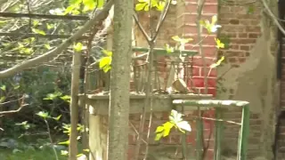 Първа версия за убийството на 18 г. Магдалена, тялото ѝ било преместено в бидон 
