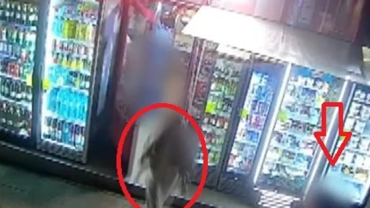 Ексклузивно ВИДЕО от последните часове живот на Маги, с нея бил и килърът й