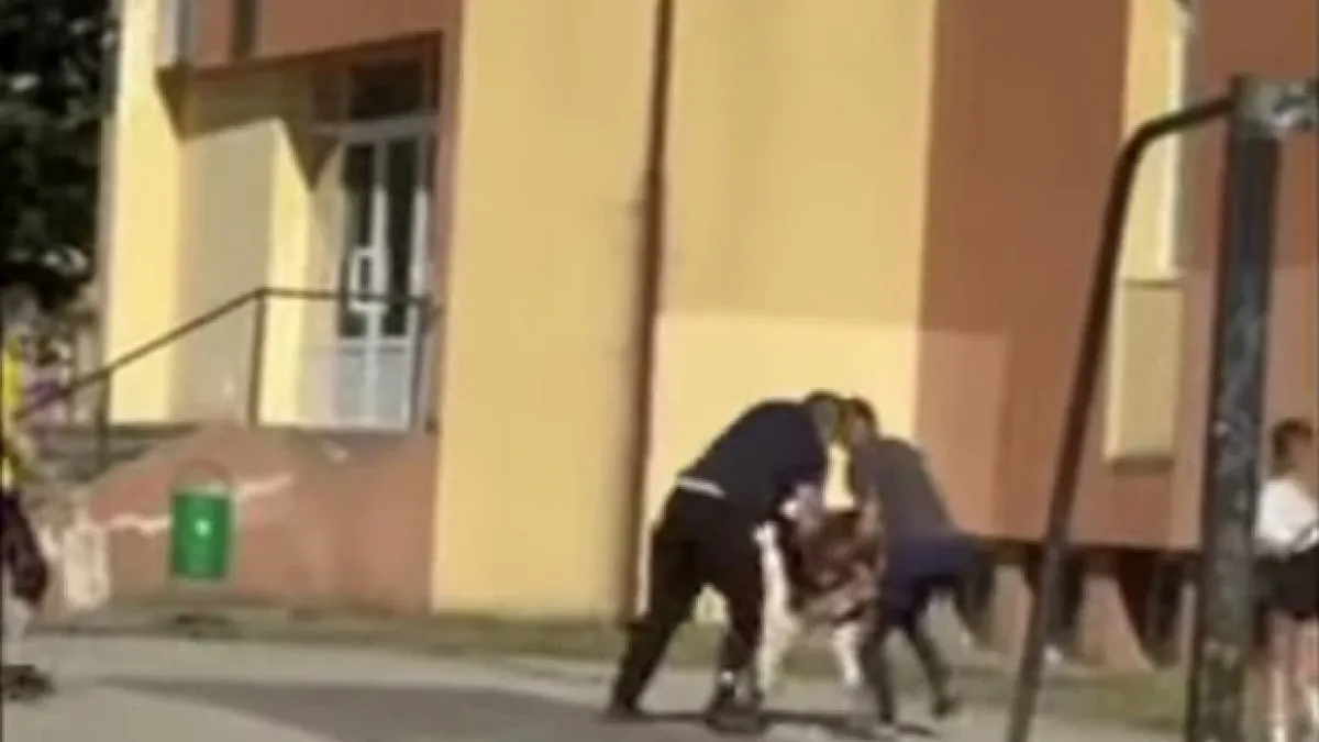 Брутална агресия в училищен двор потресе България СНИМКА 