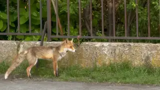 Цяла София говори за това, което бе видяно в училище в квартал "Младост" СНИМКИ