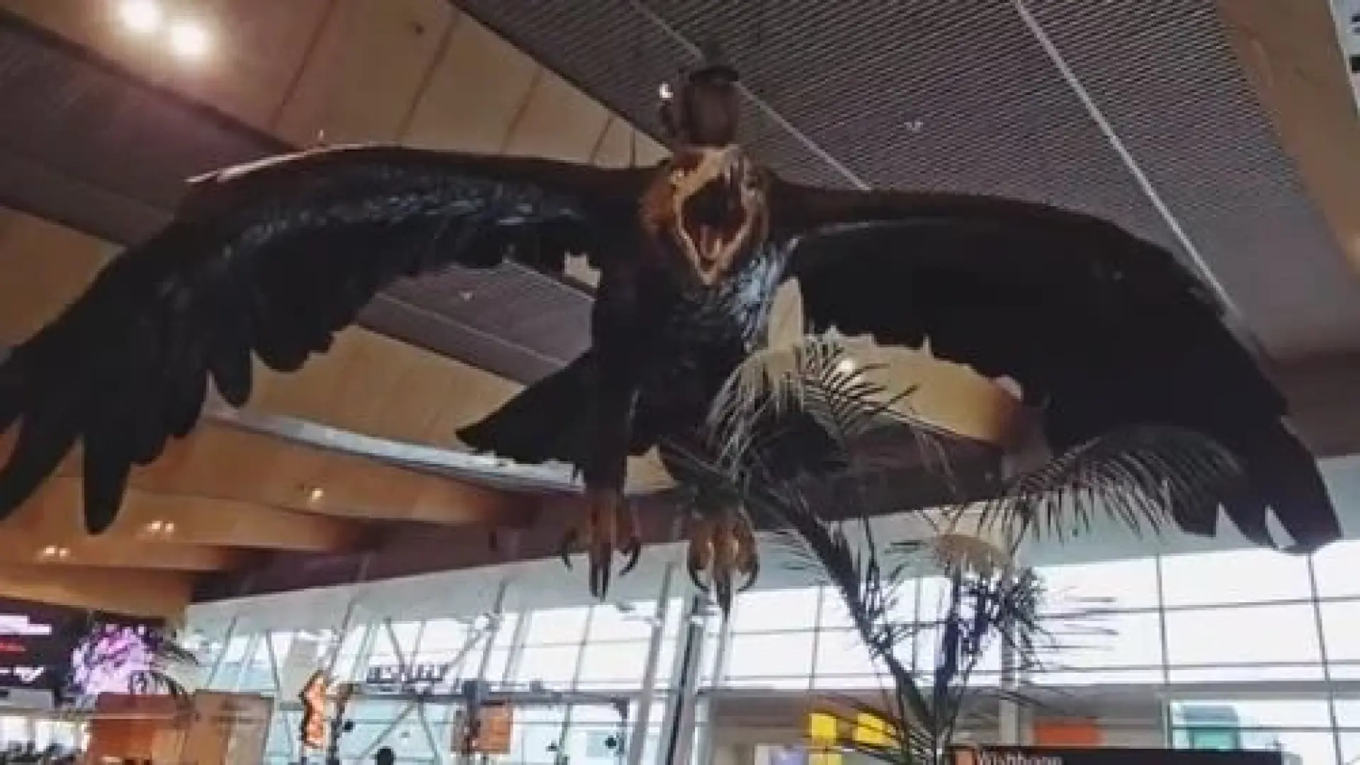 Край на една ера! Емблема на Нова Зеландия отива в историята ВИДЕО