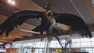 Край на една ера! Емблема на Нова Зеландия отива в историята ВИДЕО