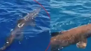 Зловеща гледка край бреговете на топ туристическа дестинация СНИМКИ 