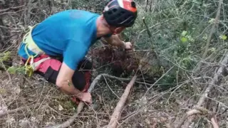 Катерачи обезобразиха защитена територия в Пирин