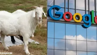 Google с неочакван ход, взима на работа 200...