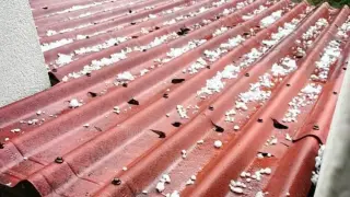 Стопаните в Тополово плачат след градушката
