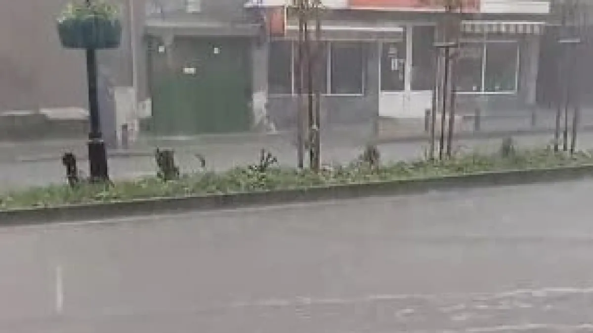 Порой удави Стара Загора ВИДЕО 