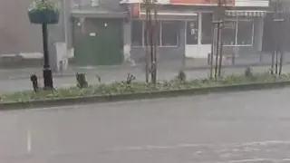 Порой удави Стара Загора ВИДЕО 