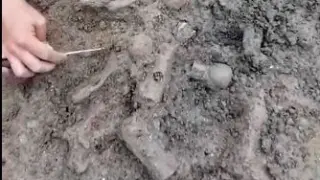 Нови сензации в Хераклея Синтика ВИДЕО 