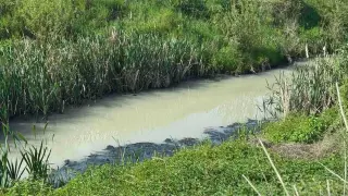 Река изправи на нокти цяла наша община, какво се случва СНИМКИ  