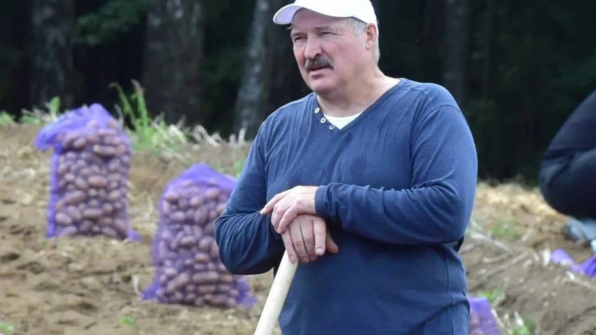 Беларус остана без националния си символ, Лукашекнко хвана мотиката