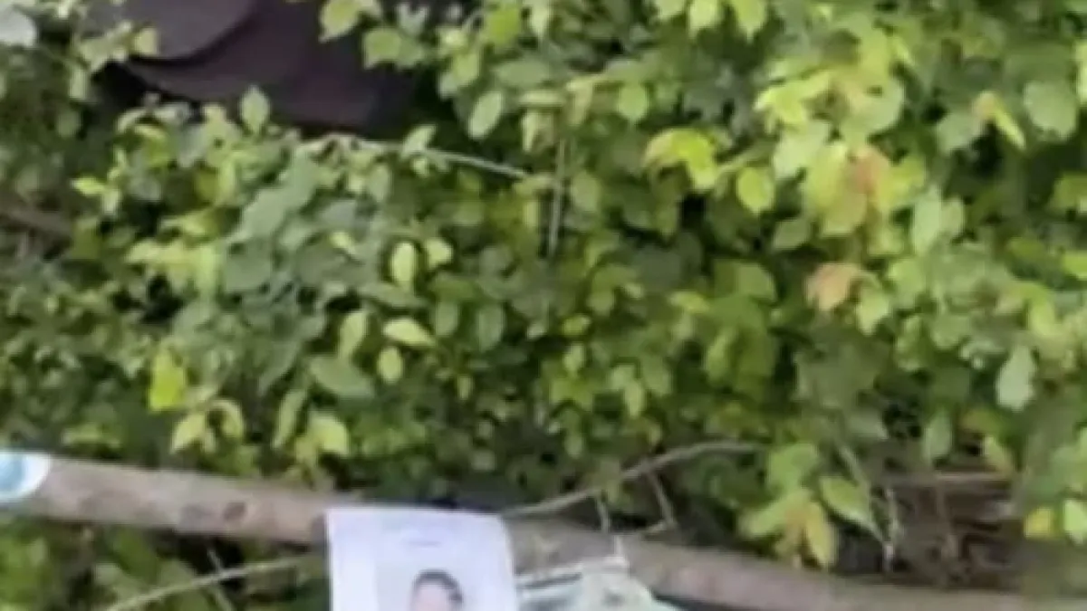 Нов пореден ужас на фаталния път, убил Сияна! ВИДЕО