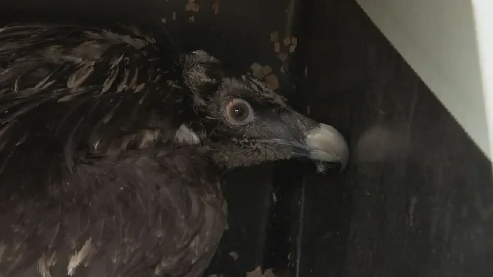 За пръв път от половин век се случва това у нас, завръща се...