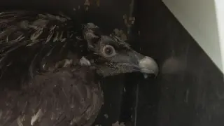 За пръв път от половин век се случва това у нас, завръща се...