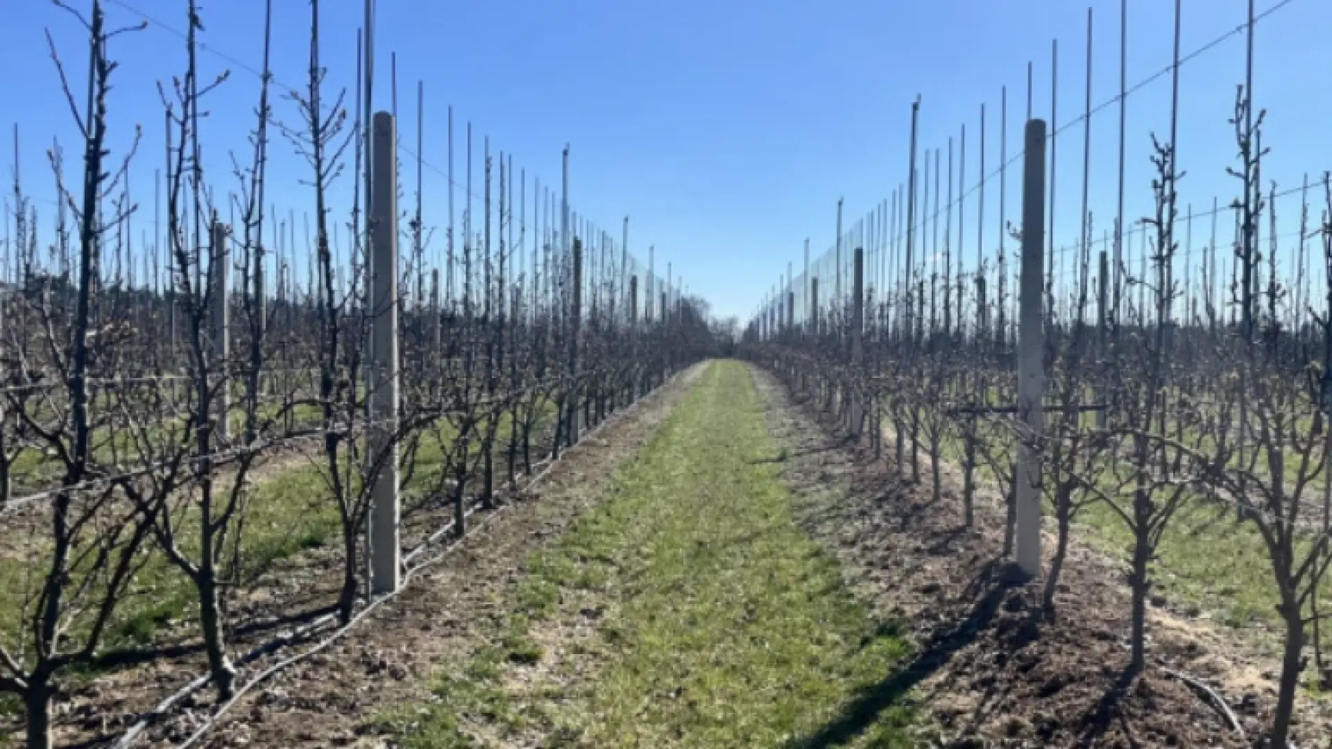 Колко печели полски фермер след 30% спад на реколтата с иновации и соларна енергия