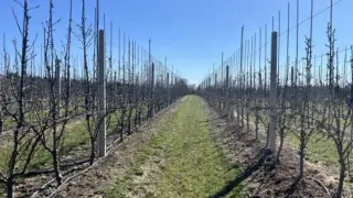 Колко печели полски фермер след 30% спад на реколтата с иновации и соларна енергия