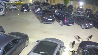 Глутница кучета изгризаха кола в София, общината не реагира