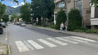Ужасяваща гадина изправи косите на минувачите в центъра на Враца Снимки
