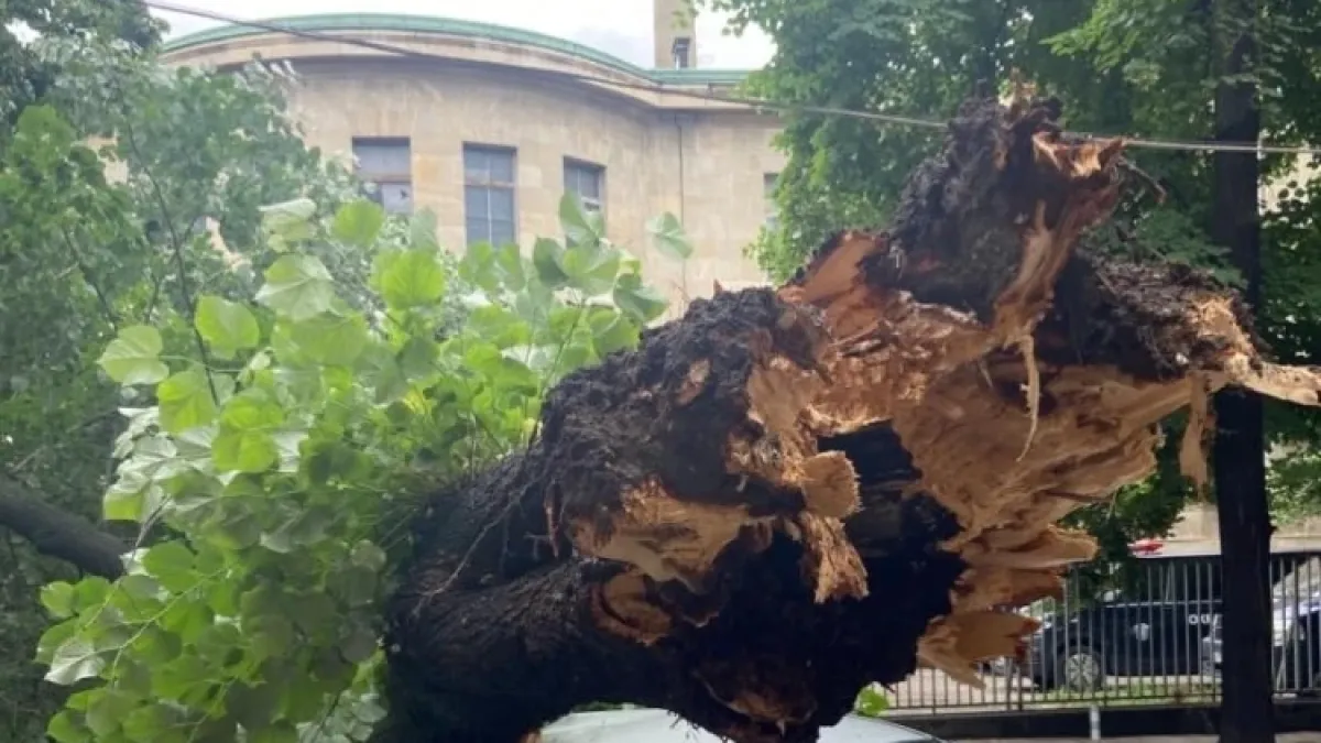 Природата с голяма поразия в Русе, няма жертви като по чудо Снимки