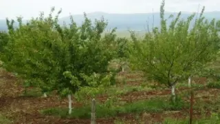 В Кюстендилско не помнят такъв кошмар от близо 80 години